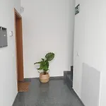 דירה City לאס פאלמס דה גראן קנאריה